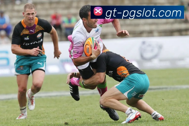 森林舞会官网发展历程